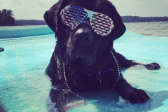 gunner-lake-martin-patriotic-sunglasses